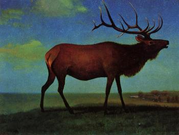 阿爾伯特 比爾施塔特 Elk